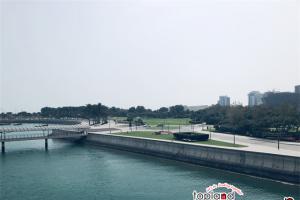 阿聯(lián)酋對(duì)中國(guó)公民免簽新規(guī)發(fā)布：180天內(nèi)限停90天